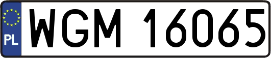 WGM16065