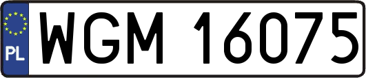 WGM16075