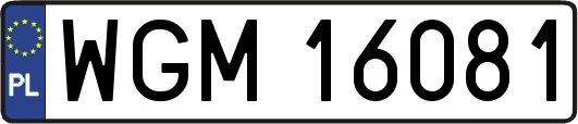 WGM16081