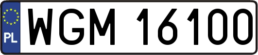 WGM16100