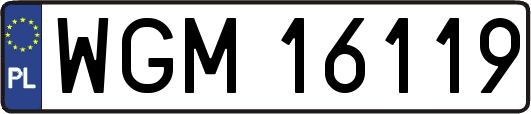 WGM16119