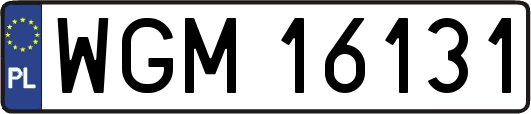 WGM16131