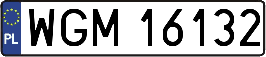 WGM16132