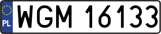 WGM16133