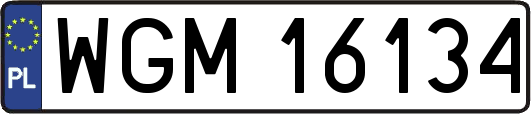 WGM16134