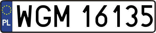 WGM16135