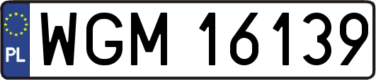 WGM16139