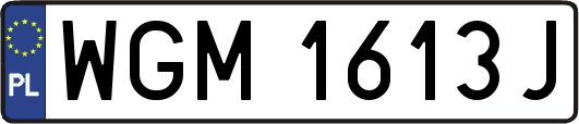 WGM1613J