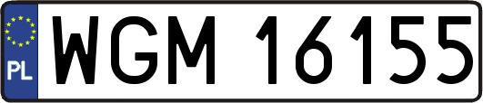 WGM16155