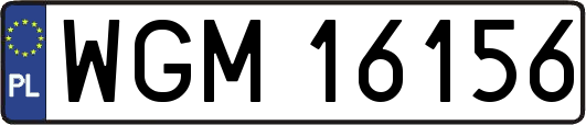 WGM16156