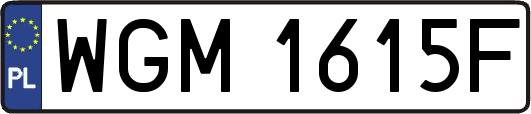 WGM1615F
