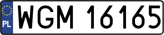 WGM16165