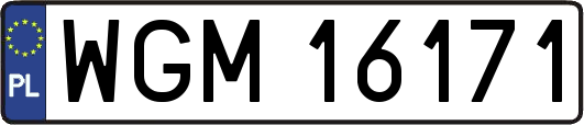 WGM16171