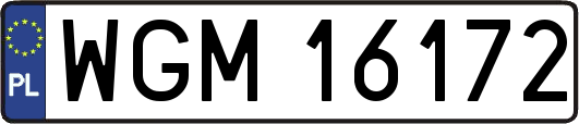 WGM16172