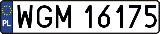 WGM16175