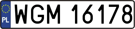 WGM16178