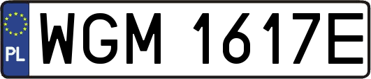 WGM1617E