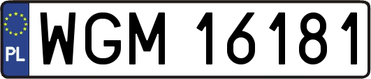 WGM16181