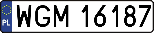 WGM16187
