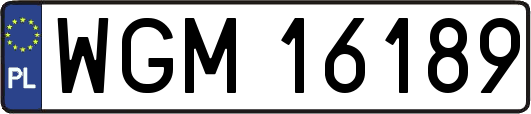 WGM16189