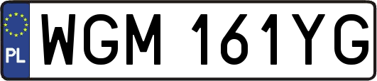 WGM161YG