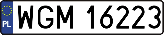 WGM16223