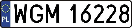 WGM16228