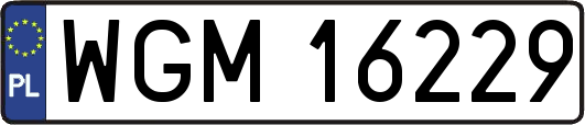 WGM16229