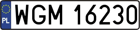 WGM16230