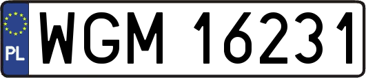 WGM16231