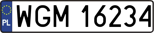 WGM16234
