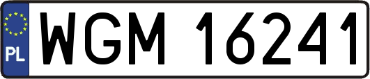 WGM16241