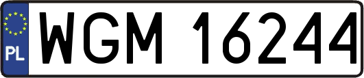 WGM16244