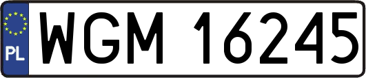 WGM16245