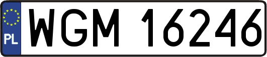 WGM16246