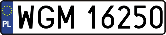WGM16250