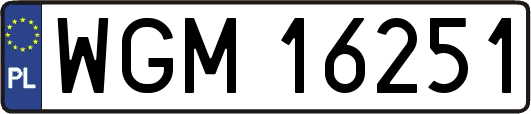 WGM16251