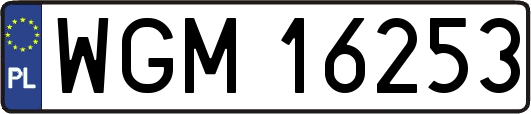 WGM16253