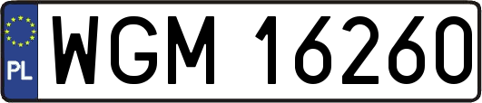 WGM16260