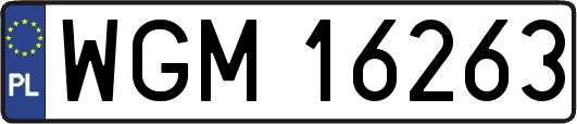 WGM16263