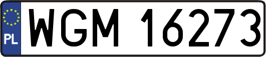 WGM16273