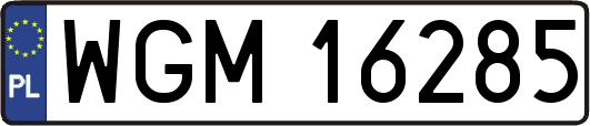 WGM16285