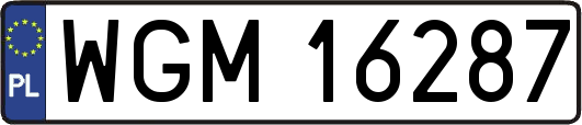 WGM16287