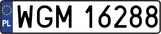 WGM16288