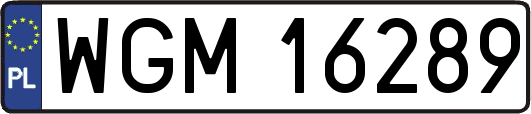 WGM16289