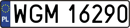 WGM16290