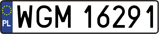 WGM16291