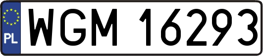 WGM16293
