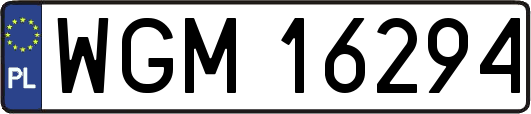 WGM16294