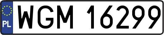 WGM16299